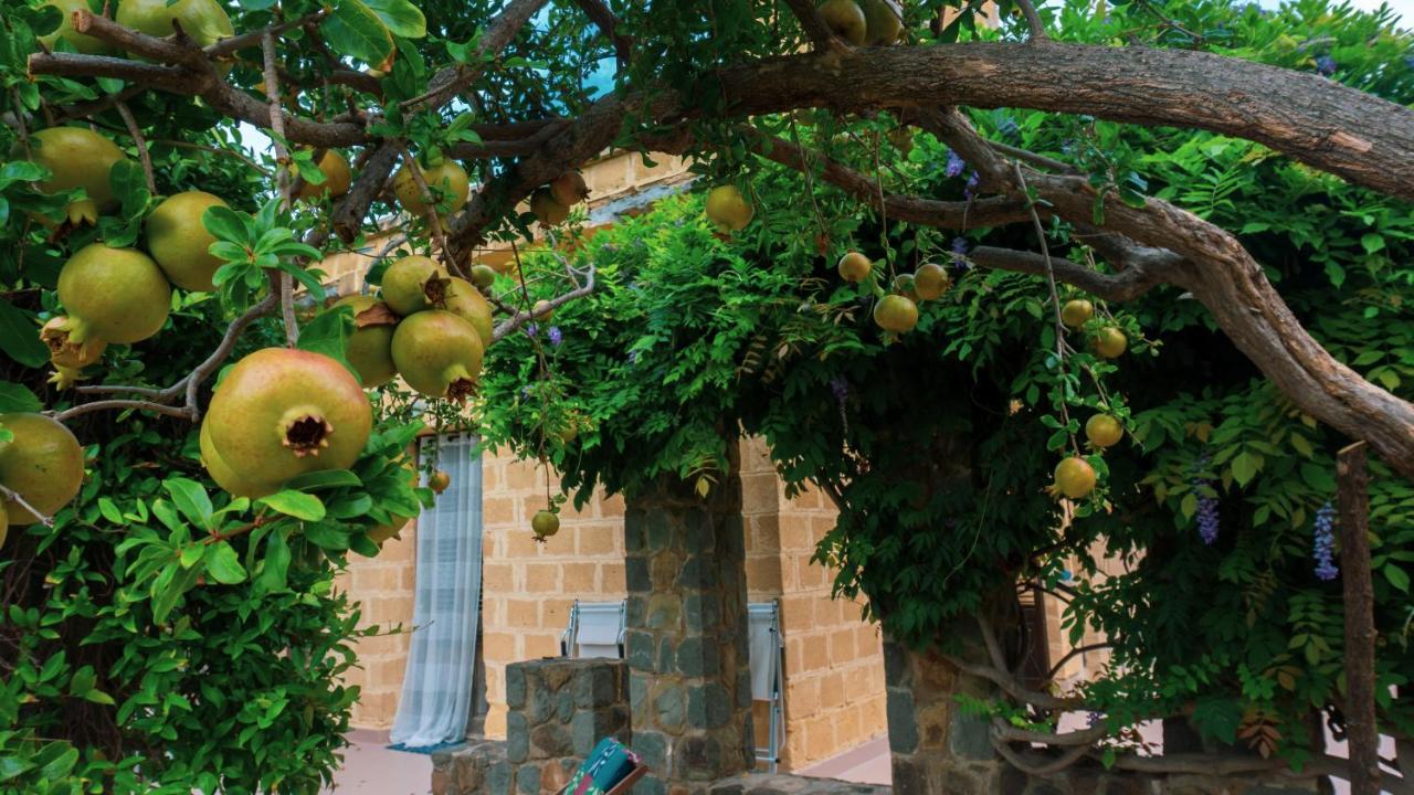 Villa Medina 切法卢 外观 照片